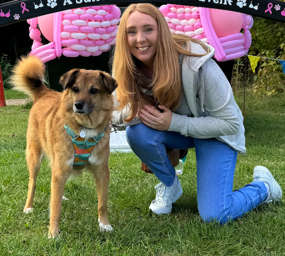 Dog Training Information